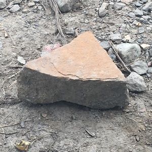 Meet your Posher, Ty